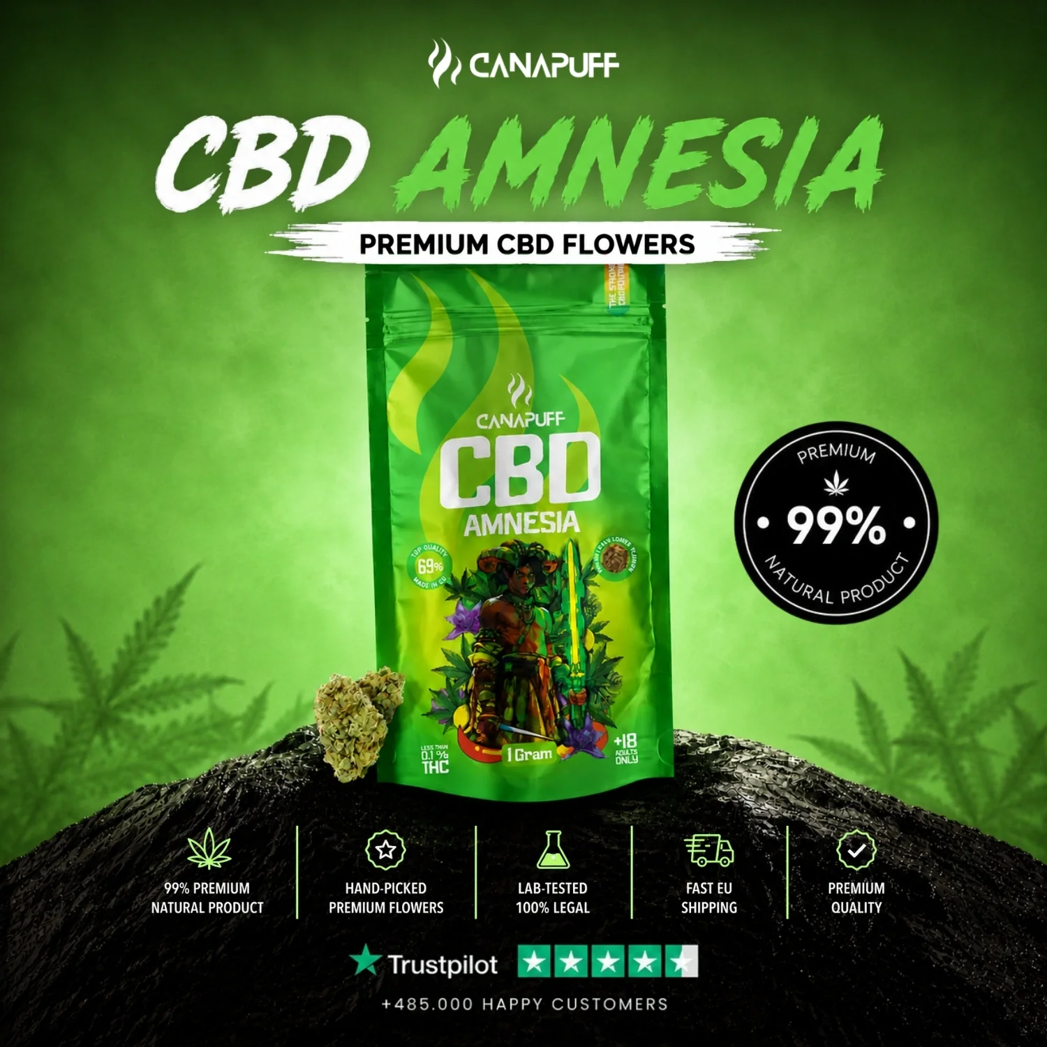CBD Blüten Amnesia 69% - Image 2