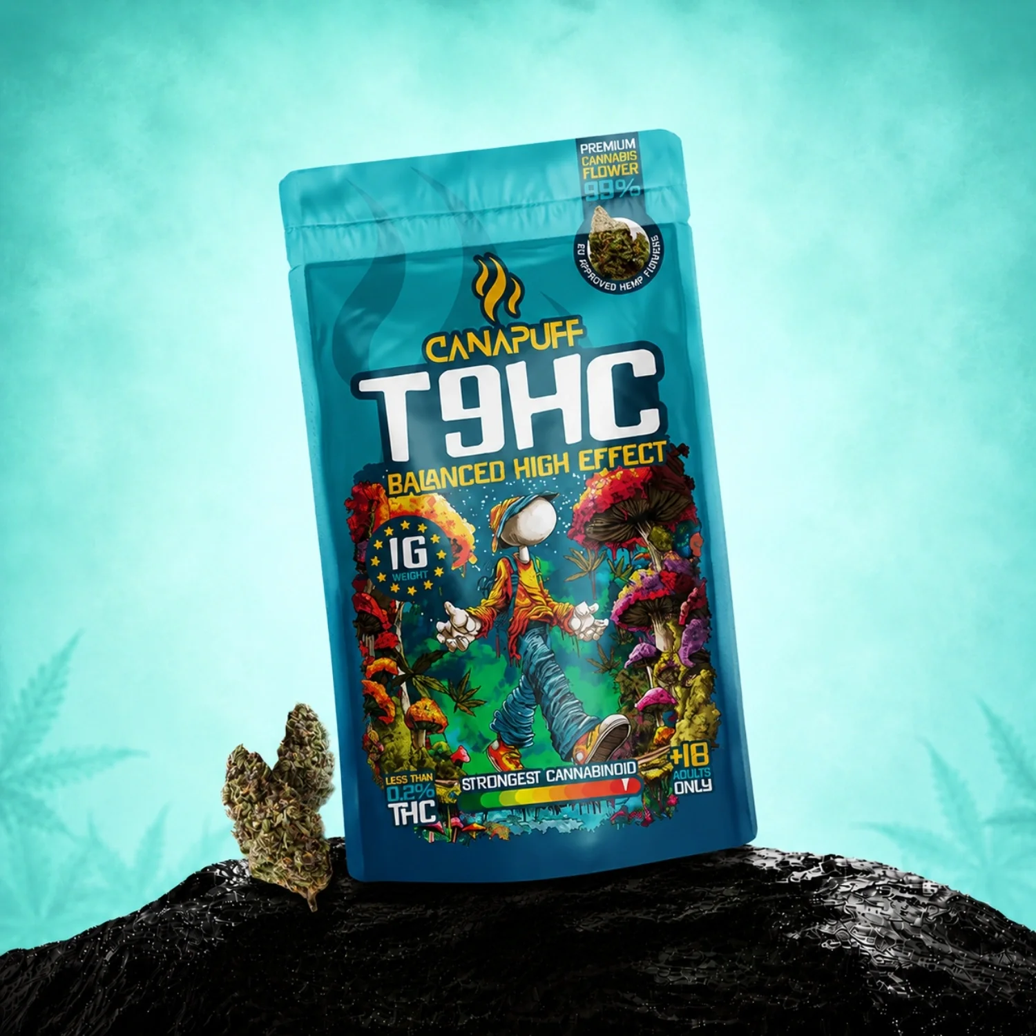 T9HC Blüten Balanced 99%