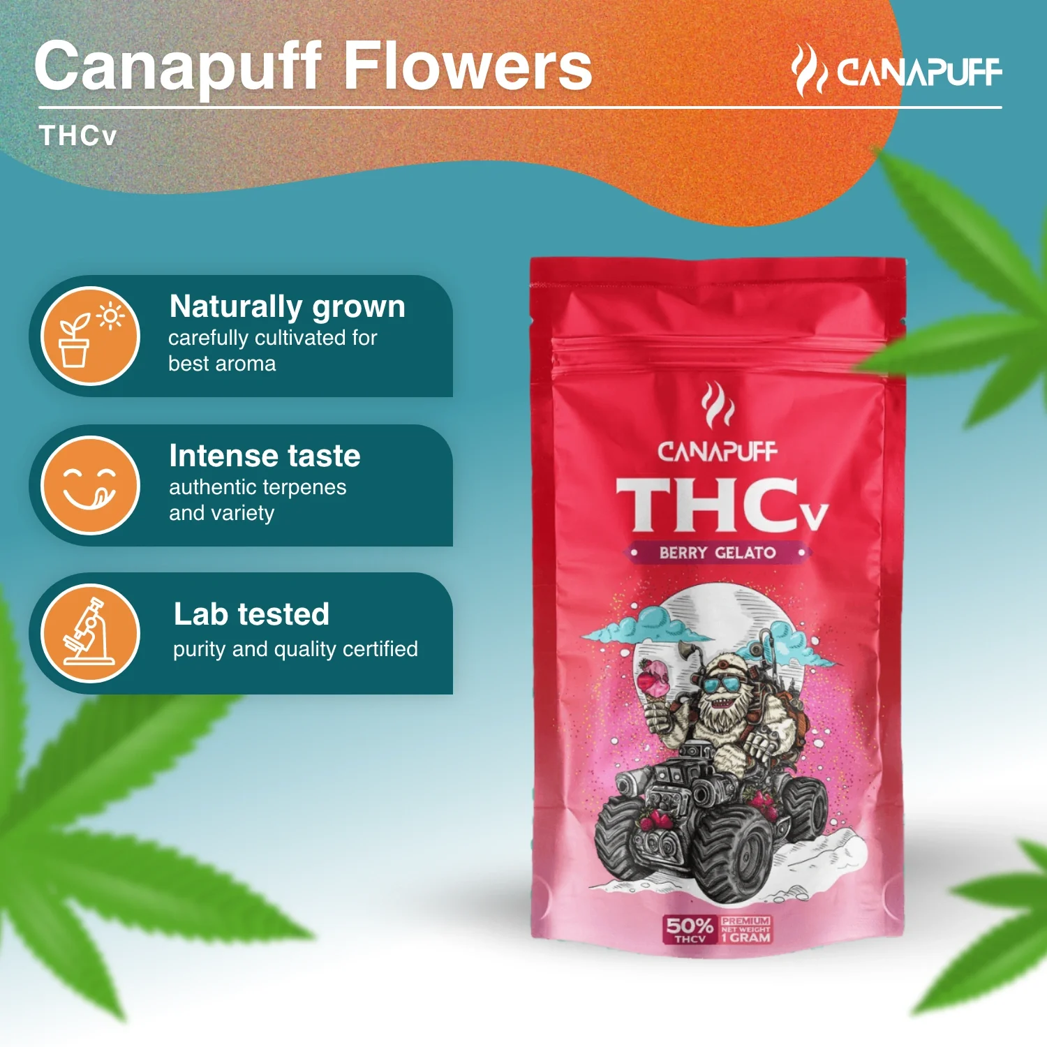 THCv Blüten Berry Gelato 50% - Image 2