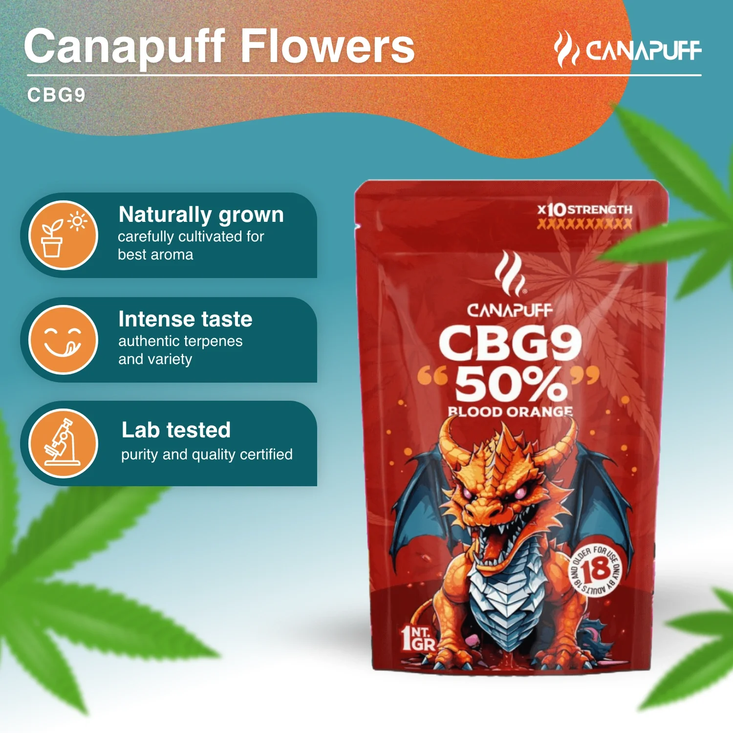 CBG9 Blüten Blood Orange 50% - Image 2