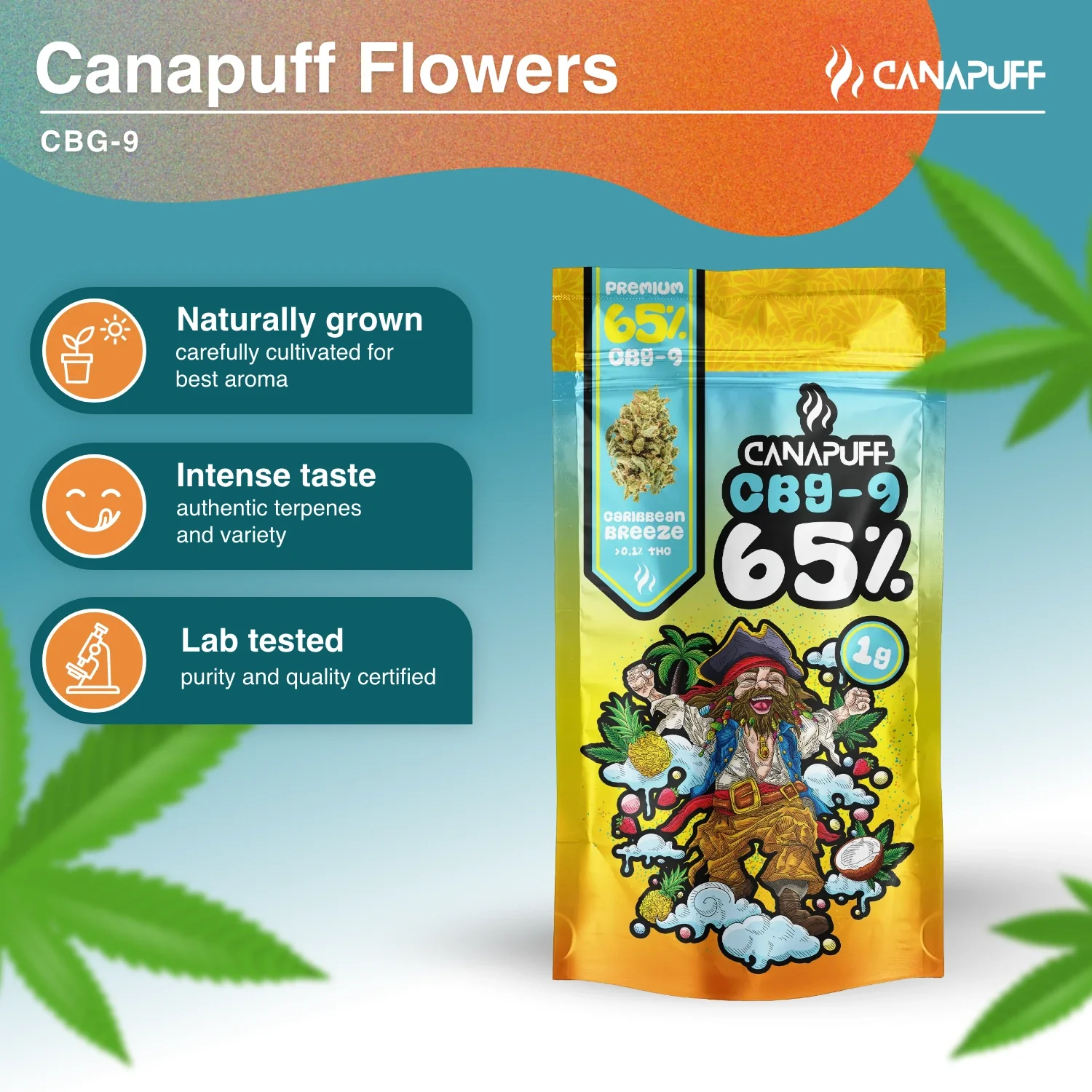 CBG9 Blüten Caribbean Breeze 65 % - Image 2