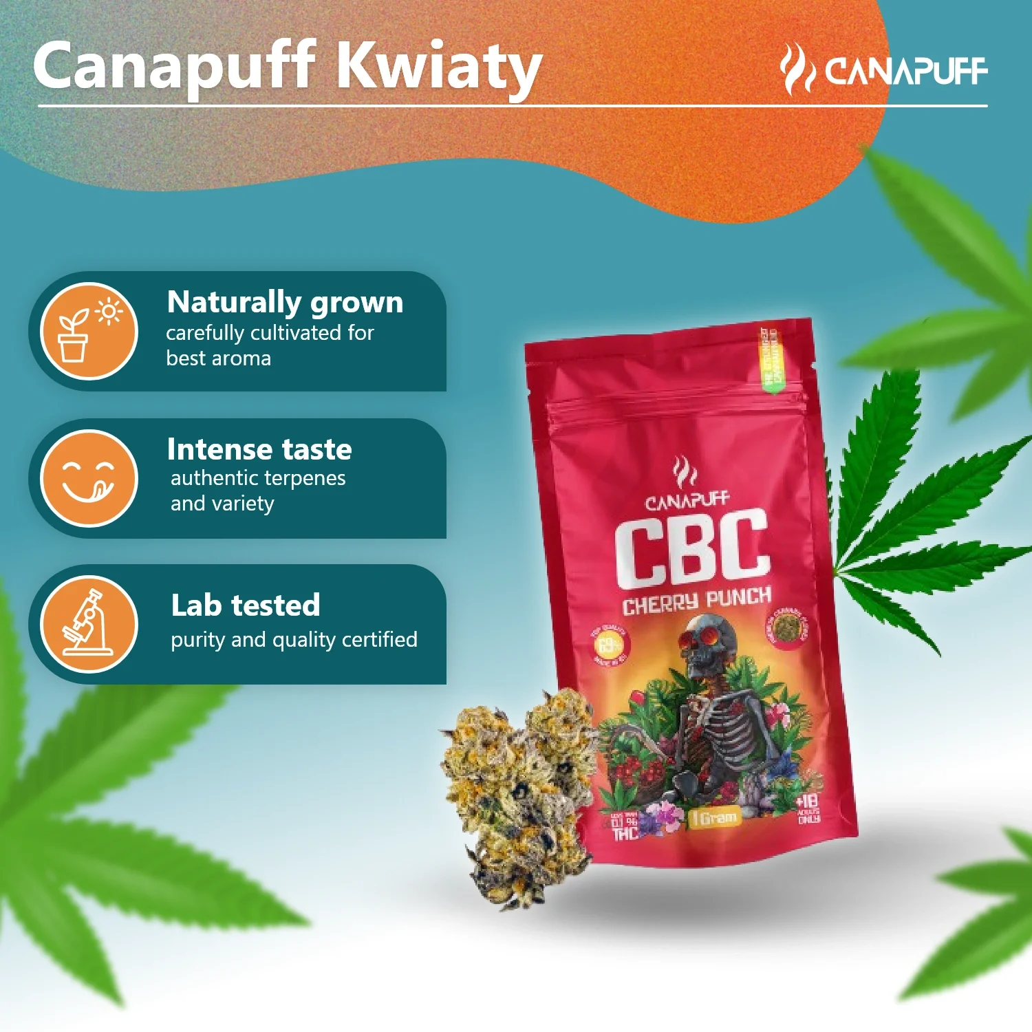 CBC Blüten Cherry Punch 69 % - Image 2