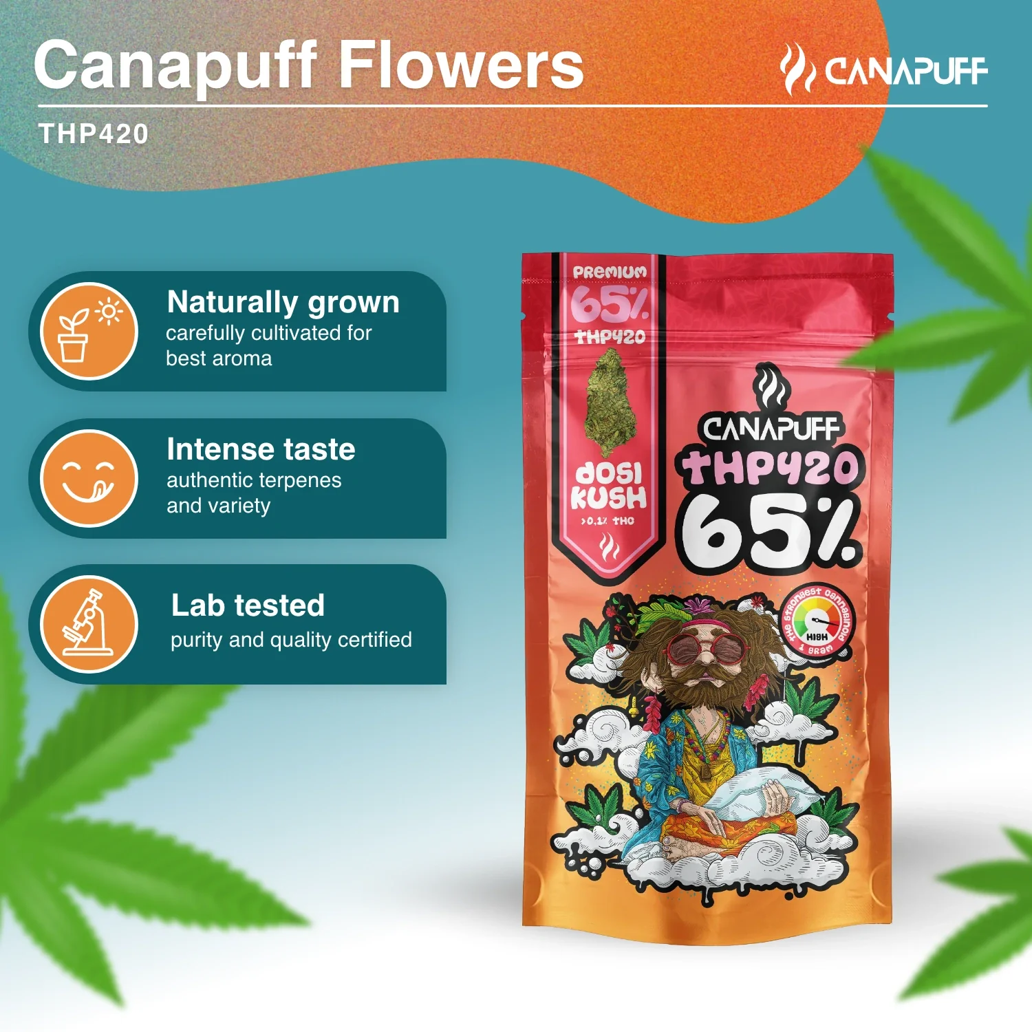 THP420 Blüten Dosi Kush 65% - Image 2