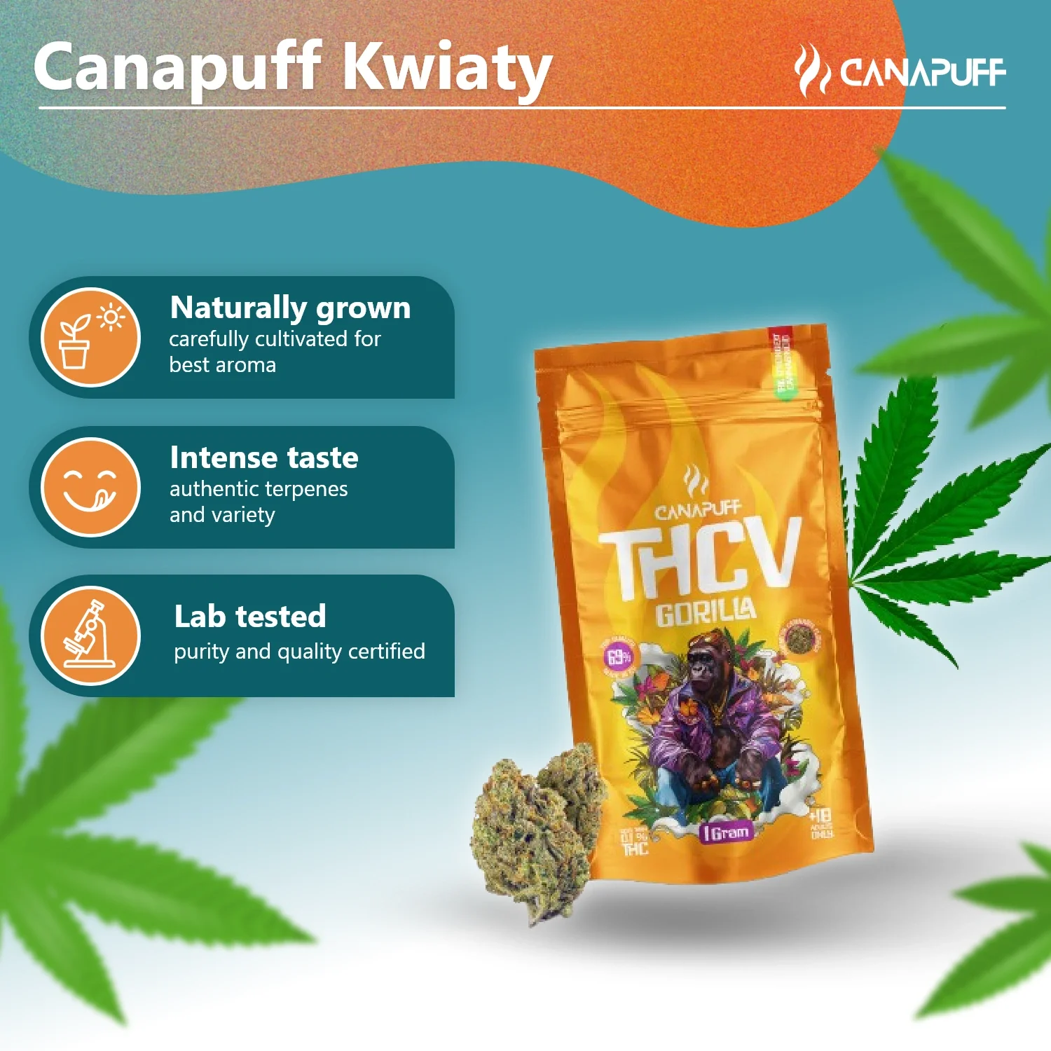 THCv Blüten Gorilla 69% - Image 3