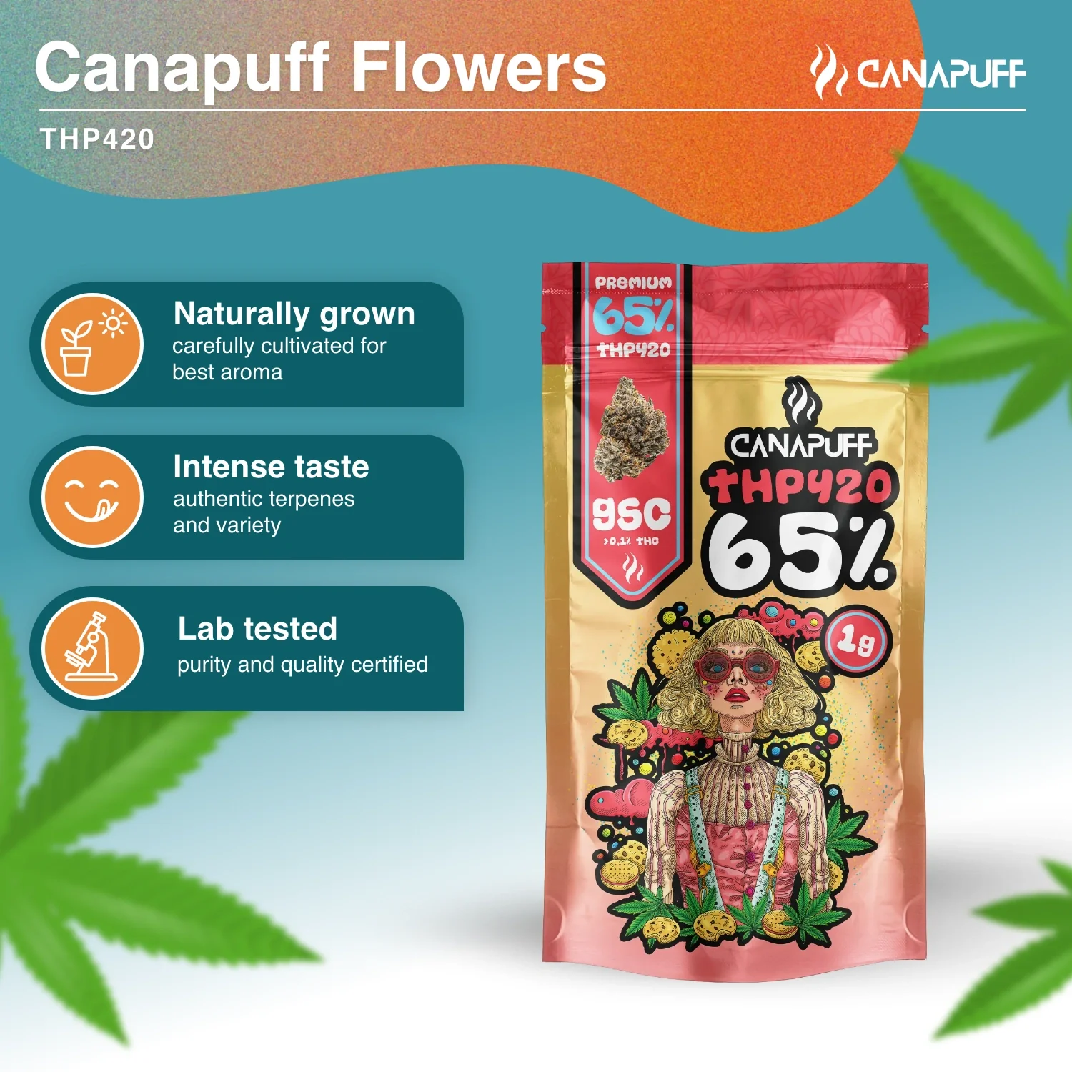 THP420 Blüten GSC 65% - Image 2