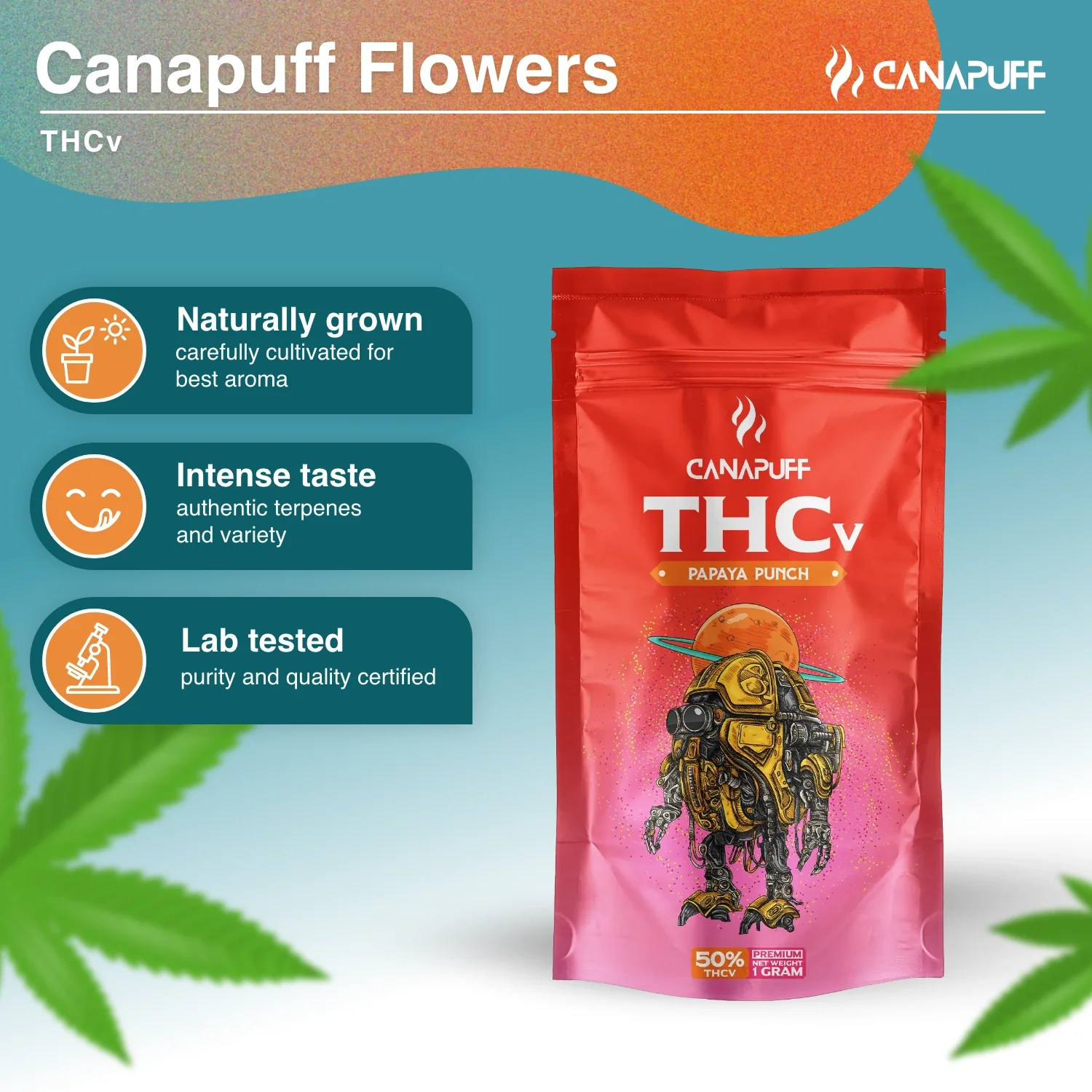 THCv Blüten Papaya Punch 50% - Image 2