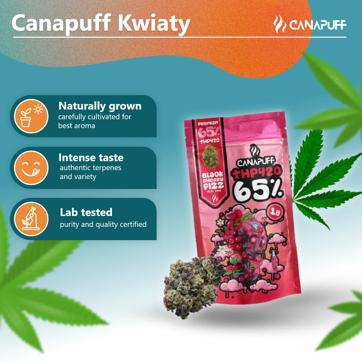 THP420 Blüten Black Cherry Fizz 65% - Image 3