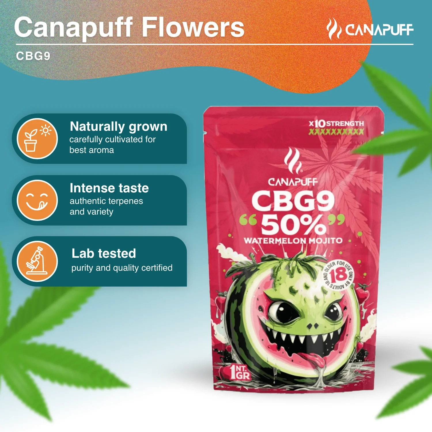 CBG9 Blüten Watermelon Mojito 50% - Image 2