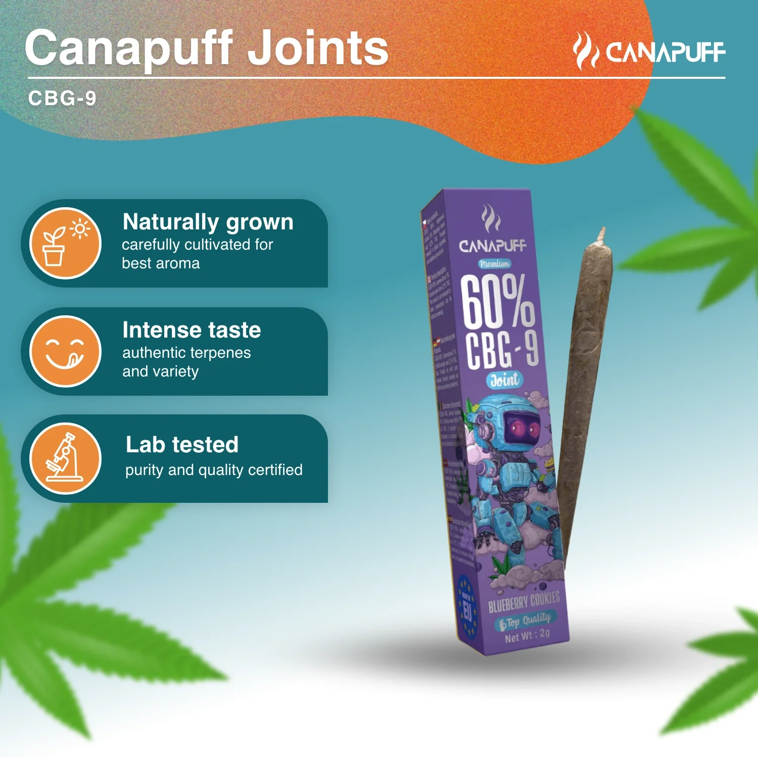 CBG9 Joint Blaubeere Cookies 60% 2g - Image 2
