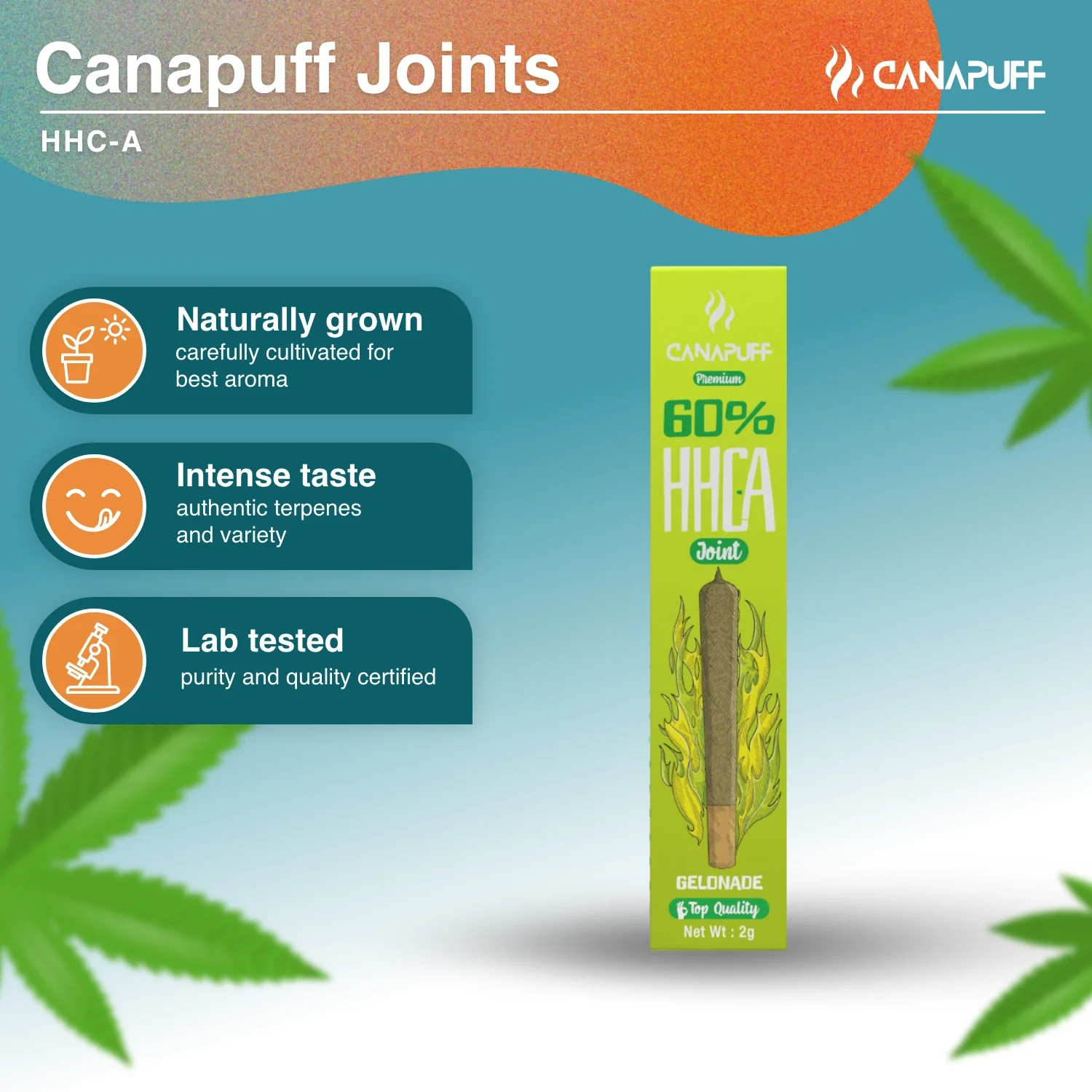 HHC-A Joint Gelonade 60% 2g - Image 2