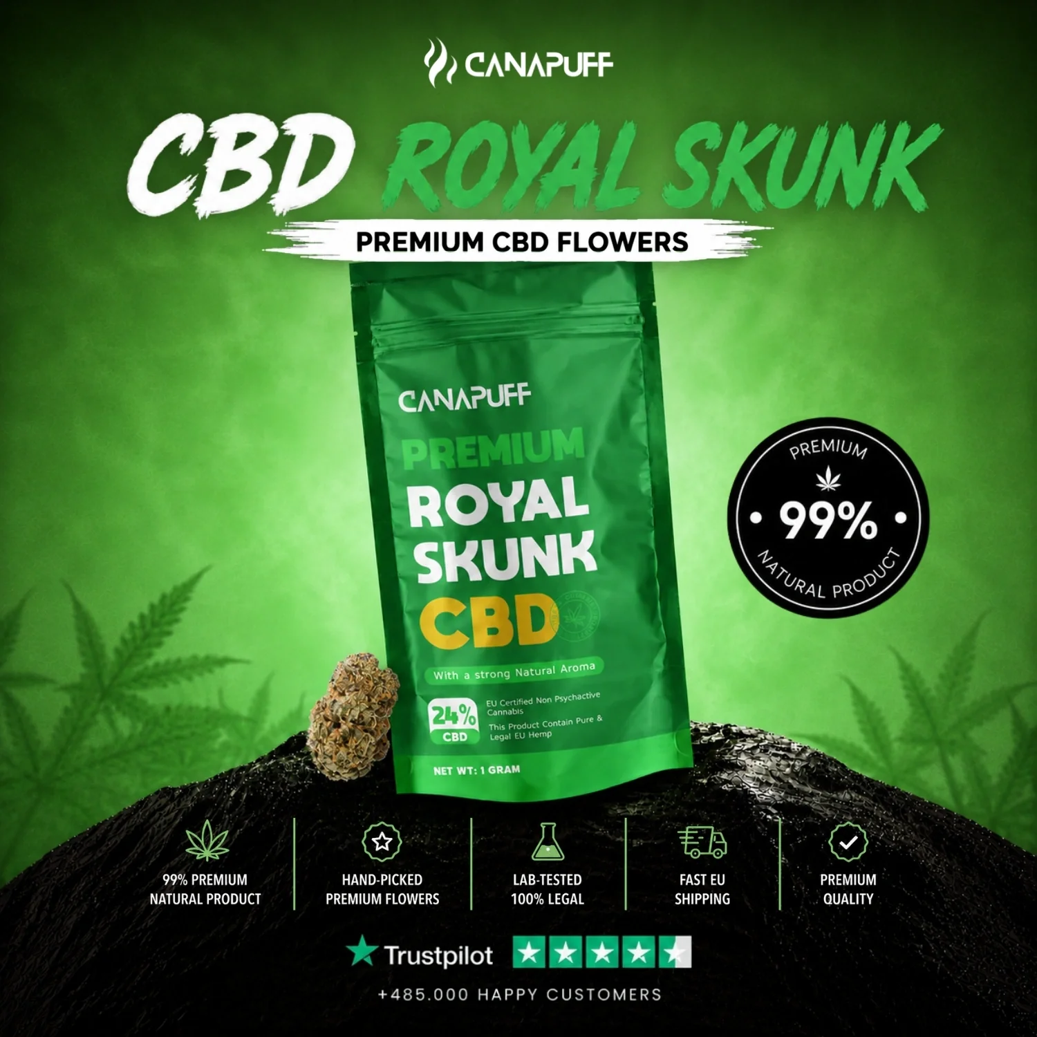 CBD Blüten Royal Skunk 24% - Image 2